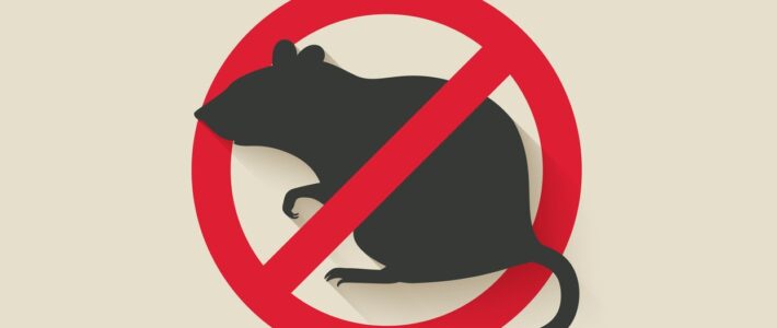 Rodent Notice
