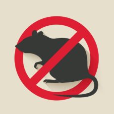 Rodent Notice
